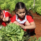 Atividade Ecológica na Educação Infantil