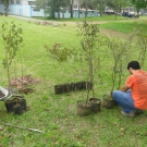 Colégio La Salle Esteio realiza atividades de sensibilização ambiental na semana da criança.