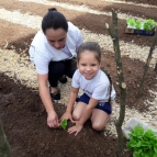 Plantando na Horta Pedagógica - Educação Infantil