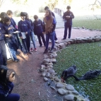 Visita ao Jardim Botânico