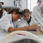 Aula no Laboratório - 6° Ano