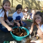 1º Anos produzem mini-hortas