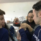 Biologia na prática