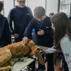 Workshop Das Profissões UCS