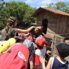 Passeio do P2 ao Sítio Quinta da Estância