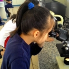 Observando as estruturas das plantas - 3º Anos