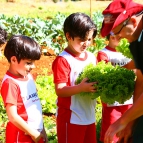 Atividade Ecológica na Educação Infantil