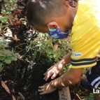 Colônia de Férias - Hortinha!