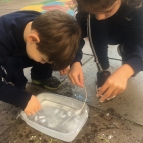 Projeto “Pequenos cientistas”.