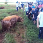 Alunos da Educação Infantil visitam a EEPROCAR