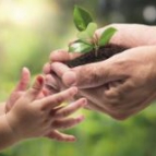 05 de Junho: Dia Mundial do Meio Ambiente