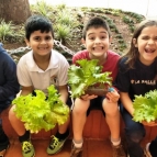 Alimentação saudável é tema de estudo