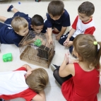 Educação Infantil recebe visita do coelhinho