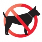 Proibida a entrada de cachorros