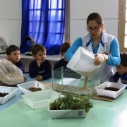 Creche nível III aprendendo sobre o Meio Ambiente