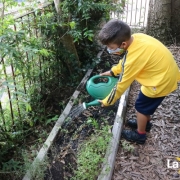 Colônia de Férias - Hortinha!