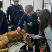 Workshop Das Profissões UCS
