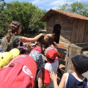 Passeio do P2 ao Sítio Quinta da Estância