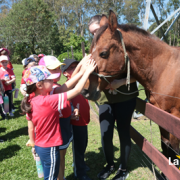 Passeio Chácara Pasqual - Ed. Infantil