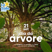 Dia da árvore