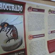 Combate ao Aedes Aegypti é lição na volta às aulas