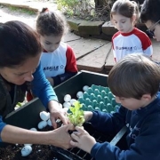 2º ano: Saída de Estudos para a Quinta da Estância