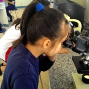 Observando as estruturas das plantas - 3º Anos