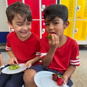 Projeto - Alimentação Saudável