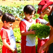 Atividade Ecológica na Educação Infantil