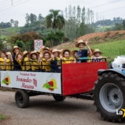 Colônia Muraro - 1º ano