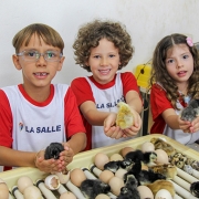 Crianças visitam o Museu da Natureza
