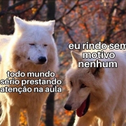 7º Ano produz 