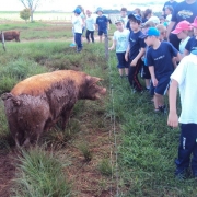 Alunos da Educação Infantil visitam a EEPROCAR