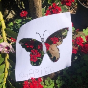 Olhar sobre a primavera