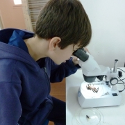 Estudando os animais invertebrados