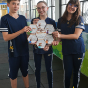 Livro Hexagonal  - 6°ANO