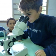 Aula prática no Laboratório de Ciências