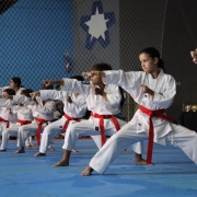 2º Festival de Artes Marciais