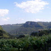 1° Ano nas Casas Bonnet