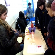 Mostra de Experiências