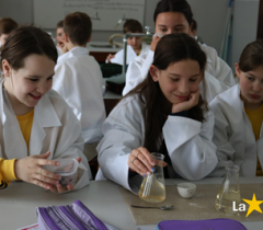 Teoria em prática na aula de Ciências